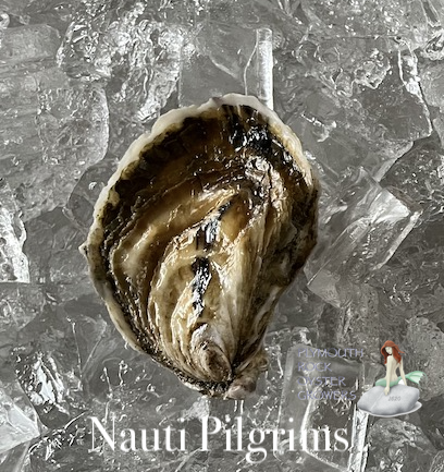 Nauti Pilgrims Oysters with logo and text