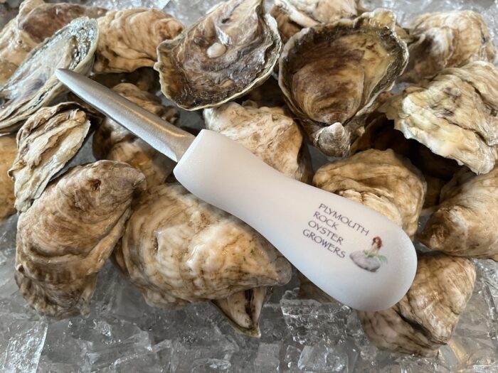 photo of an oyster shucking knife with fresh oysters