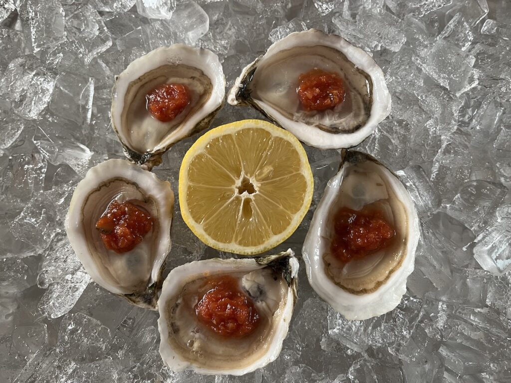 fresh oysters with Simple Super Sauce recipe on ice